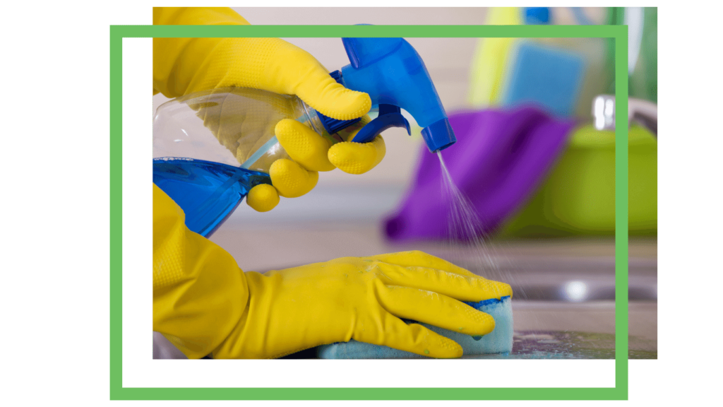 House Cleaning Services Adelaide Dust Brush